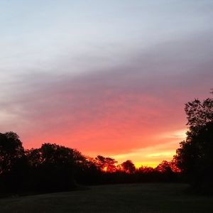 Meet your Posher, Bailey